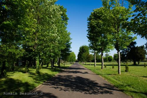 Domaine des Roches