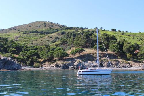 La Grange at Laroque - image 6