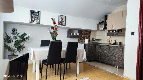 JetNest - Apartment - Niš