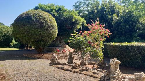  Villa Ott in Crespina