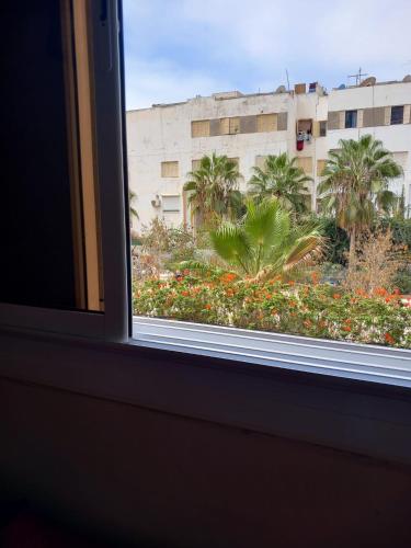 View, Appartement Eco Garoutiere Al massira Agadir in Dakhla