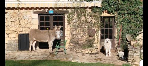 Mobil-home du lot Dordogne in Milhac