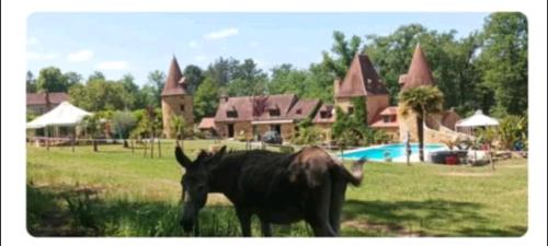 Mobil-home du lot Dordogne in Milhac