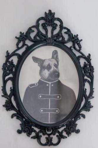 Dog Admiral - Urban Guest House - 편의 시설/서비스