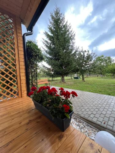 Roua Chalet, Nemţişor (Foto 4)