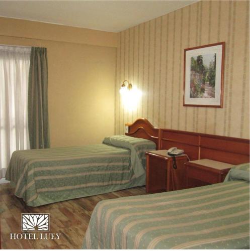 Hotel Luey, Буэнос-Айрес (фото 3)