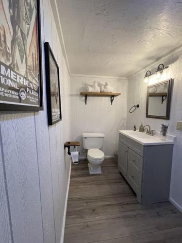 Adventure Cabin 3 King Bed Hot Tub