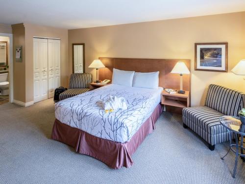 1 queen bed