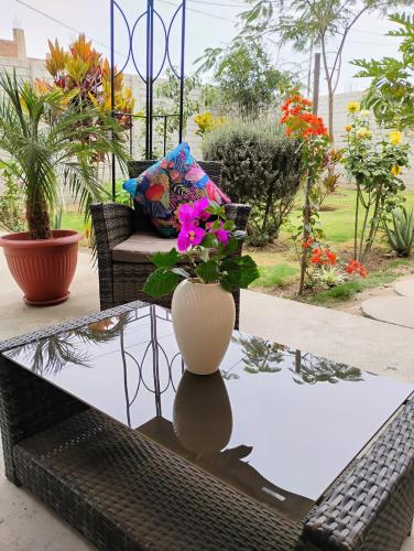Colibri Hostel