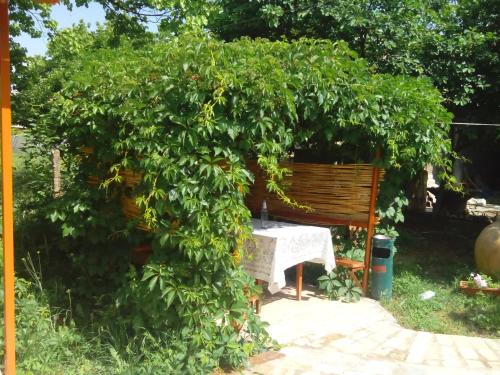 Ēdiens un dzērieni, Gayane & Khikar B&B in Čiva
