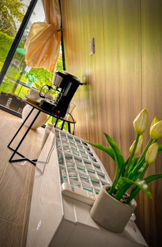 Tilawa La Fortuna Glamping