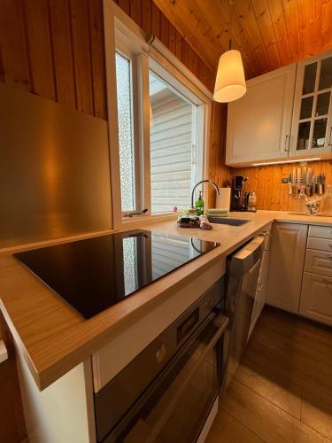 Galdur Cottage- heart of Golden Circle with hot tub & sauna in Haukadal