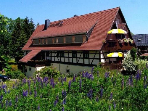 Holiday apartment landhaus Sorgenfrei in Ehrenberg, Deutschland