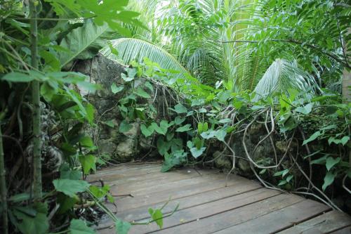 Elmar Hostel – Bacalar, TX