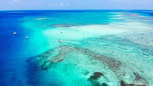 宮古島ゲストハウスほんまや in Miyakojima