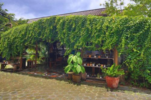 Plumeriahome near Chiangmai Airport