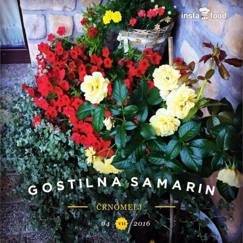 Gostilna Samarin - image 12