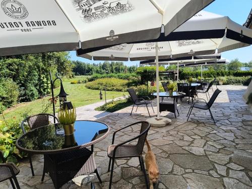 Létesítmények, Hotel Kasztel in Rzezawa