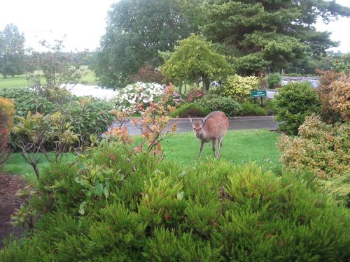 19th Green Guesthouse - image 10