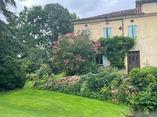 ChezLeMoulin Bed and Breakfast in Benque