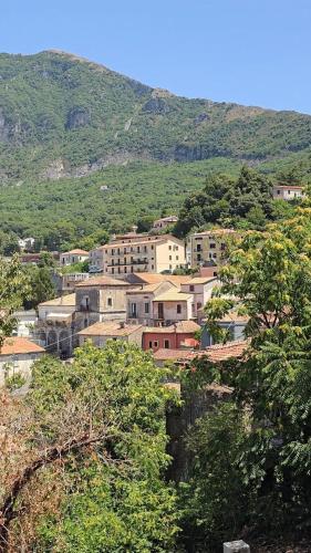 Charming 1bed in historic centre in มาร่าเทอา