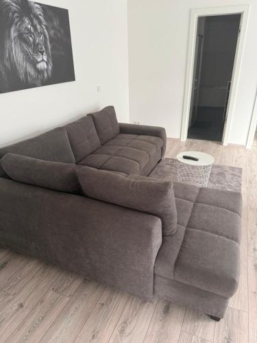 Neue , Schöne 3 Zimmer Wohnung in Dresden, Dresden (Foto 6)