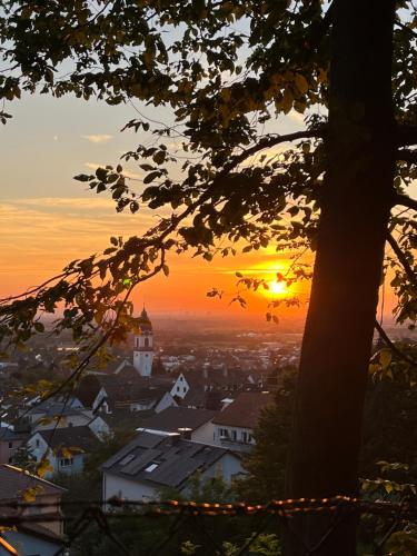 Wohnung mit Küche Balkon Parkplatz in der Nähe von Heidelberg (Wohnung mit Kuche Balkon Parkplatz in der Nahe von Heidelberg) in 多森海姆