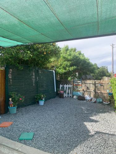 Bougain Villa in Darling