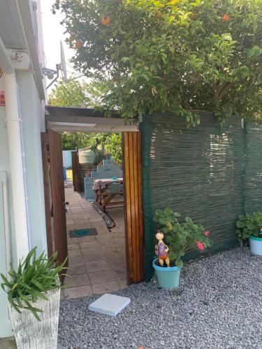 Bougain Villa in Darling