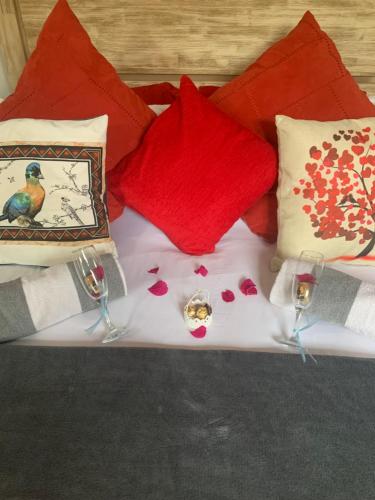 Bougain Villa in Darling