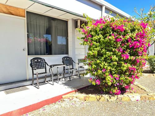 Inland Oasis Motel in Soldiers Hill