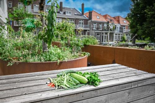 Court Garden Hotel – The Hague, WV