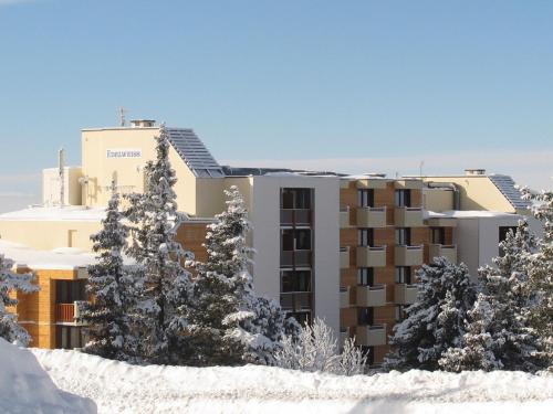 Studio cabine 4 pers. expose Sud, au pied des pistes avec balcon et toutes commodites - FR-1-340-75 in Chamrousse