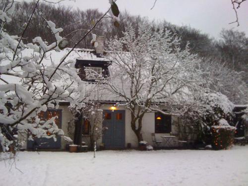 Trolleberg Bed & Breakfast - image 7