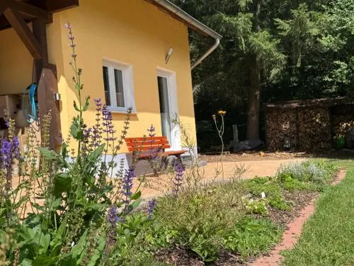 Siebenschläfer in Bad Sachsa, Deutschland