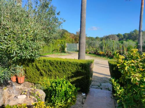 Villa Pula Viñas - image 7