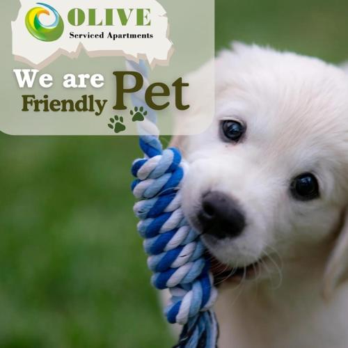Olive Serviced Apartments Salt Lake Kolkata - image 5