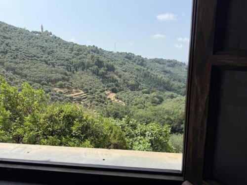 Kilátás, HOST4U - Cozy Warm House with Beautiful View on the Olives Valley in Montegrazie