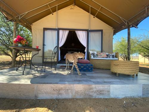 Marquee Safari Tent lachenalias in Welbedacht