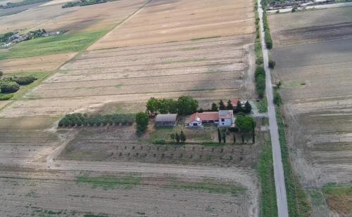 B&B Podere684