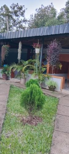 Zarita Resort in Shirere