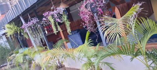 Zarita Resort in Shirere