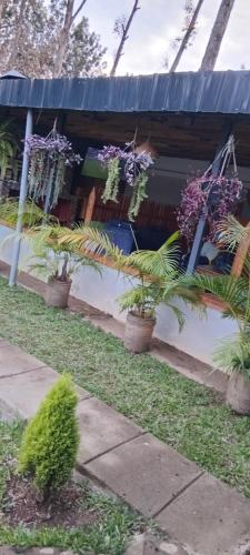 Zarita Resort in Shirere