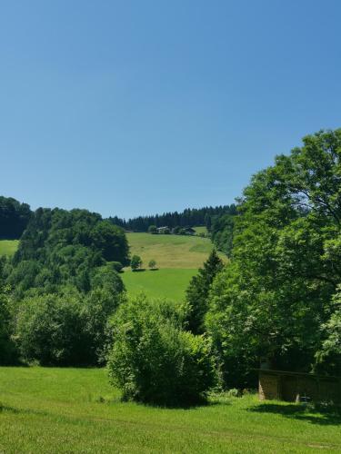 Achnerhof, Anger (Foto 9)