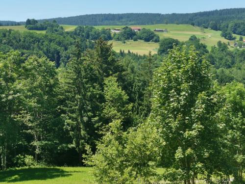 Achnerhof, Anger (Foto 10)