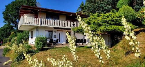 Ferienhaus LANA in Schenklengsfeld, Schenklengsfeld