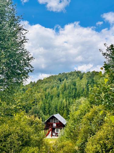Medvidske in 格雷賓尼夫村