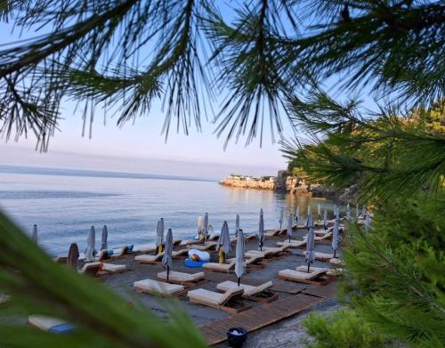 Deluxe Apartments Shengjin in Shengjin