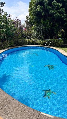 casa en cuernavaca in Los Limoneros
