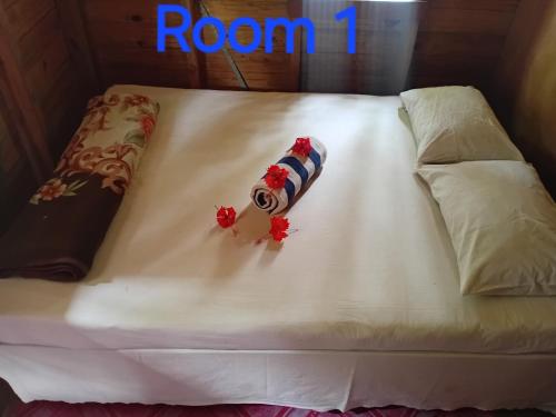 PeciJosh Homestay in Naviti Sziget